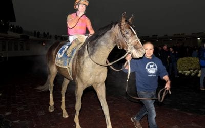 MD-bred stakes winner, flashy debut, and more: The week in social media