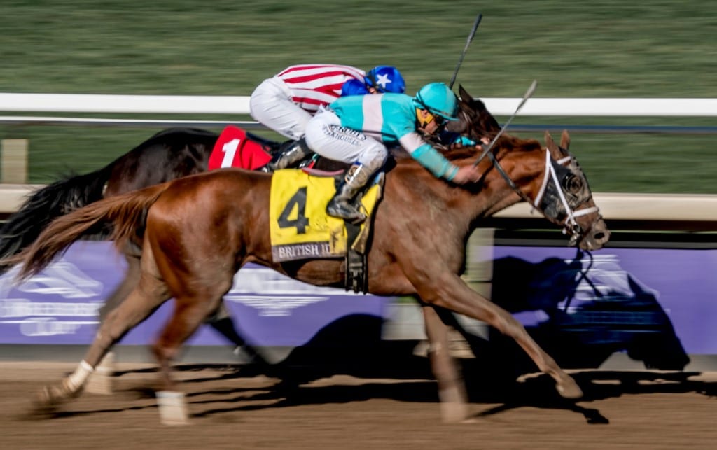z191101_british idiom breeders cup eclipsesportswire_Scott Serio_01633 British Idiom