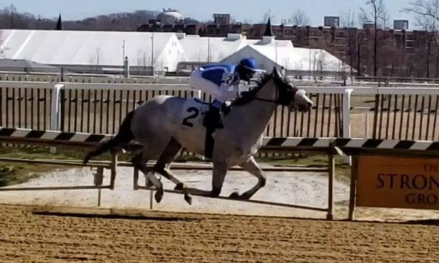 Amanite powers to first-out victory at Laurel