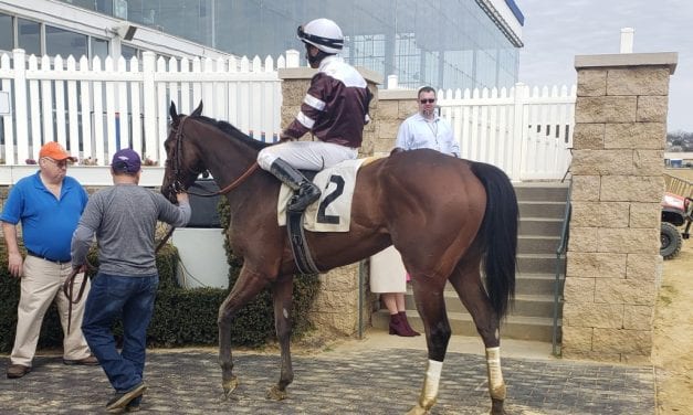 Arrifana prevails in Nellie Morse thriller