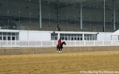 Maryland Racing Commission OKs new TMJC as track operator