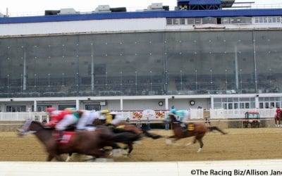 Laurel Park alters condition book