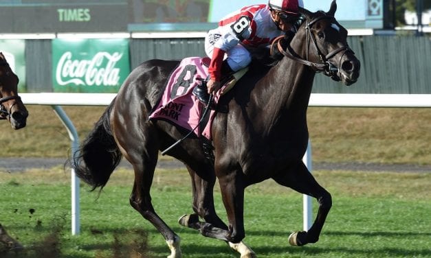 Mare Uniformly Yours paying increasing dividends