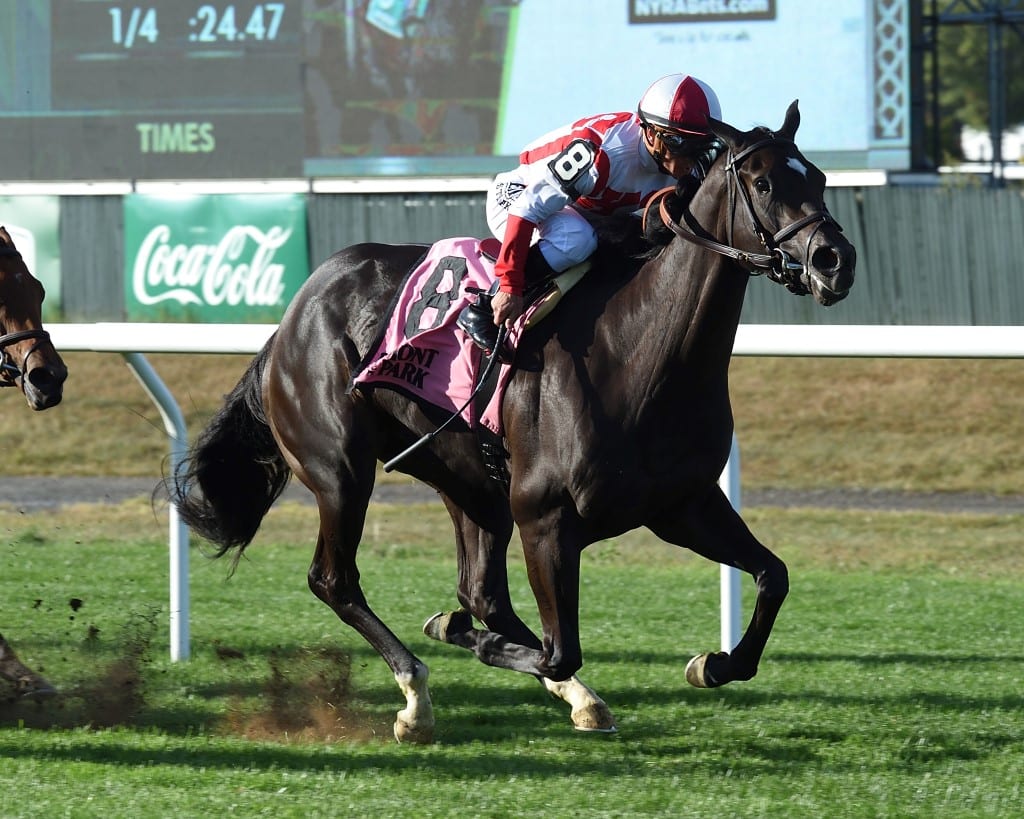 selflessly the miss grillo credit janet garaguso NYRA Selflessly