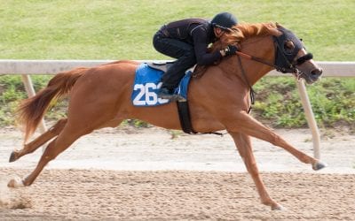 Fasig-Tipton adds supplemental entries to 2-year-old sale