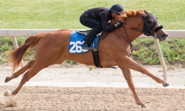 Fasig-Tipton adds supplemental entries to 2-year-old sale