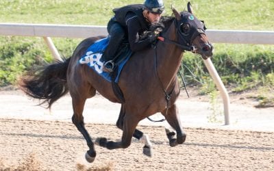 Fasig-Tipton: Candy Ride colt tops in early going