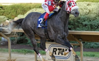 Dr. Feelgood too much in It’s Only Money