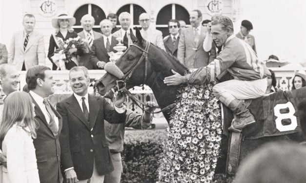 BackTracks: Bee Bee Bee spoils the party