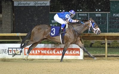 Who are the Top Midlantic Trainers?