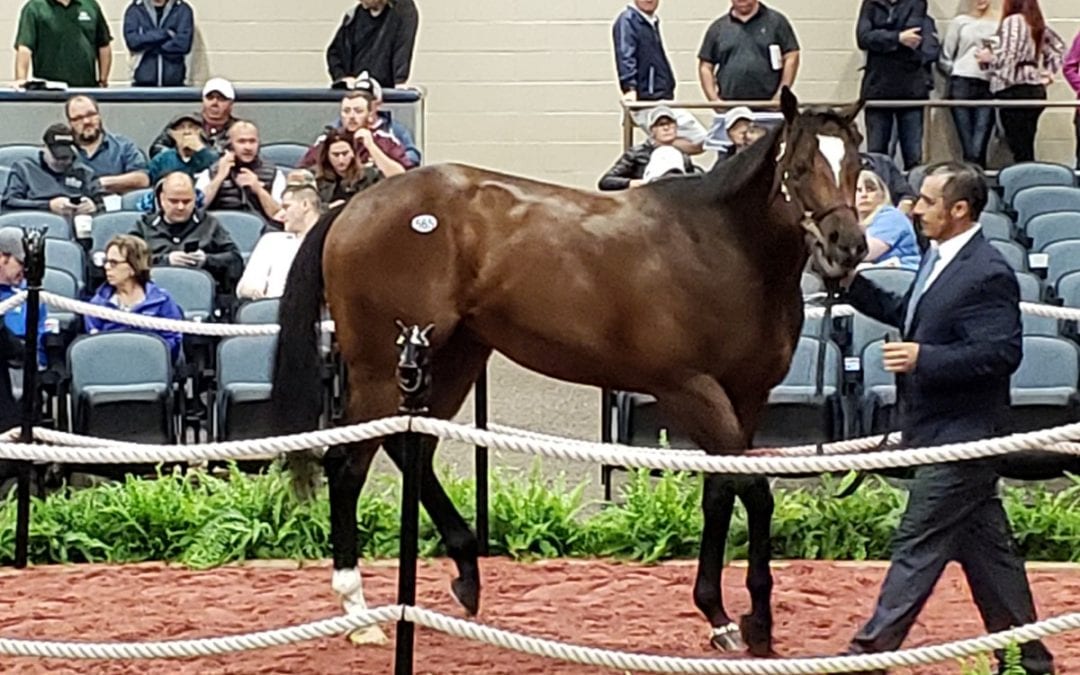 Fasig-Tipton 2yo sale set for Monday opening