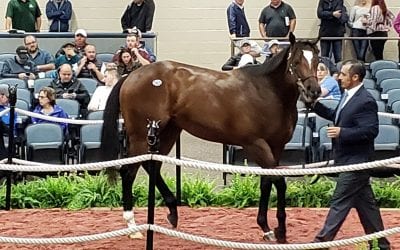 Fasig-Tipton 2yo sale set for Monday opening