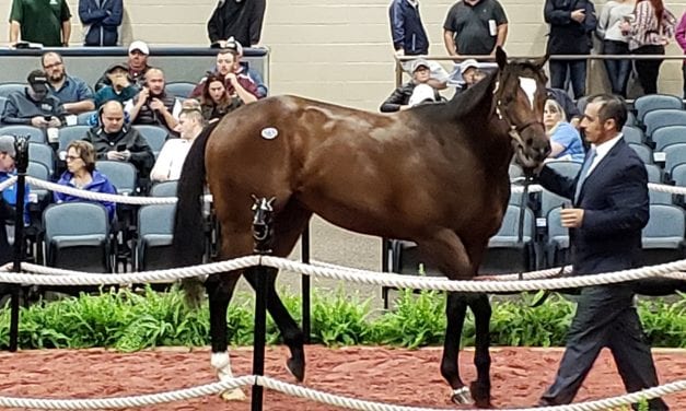 Fasig-Tipton 2yo sale set for Monday opening