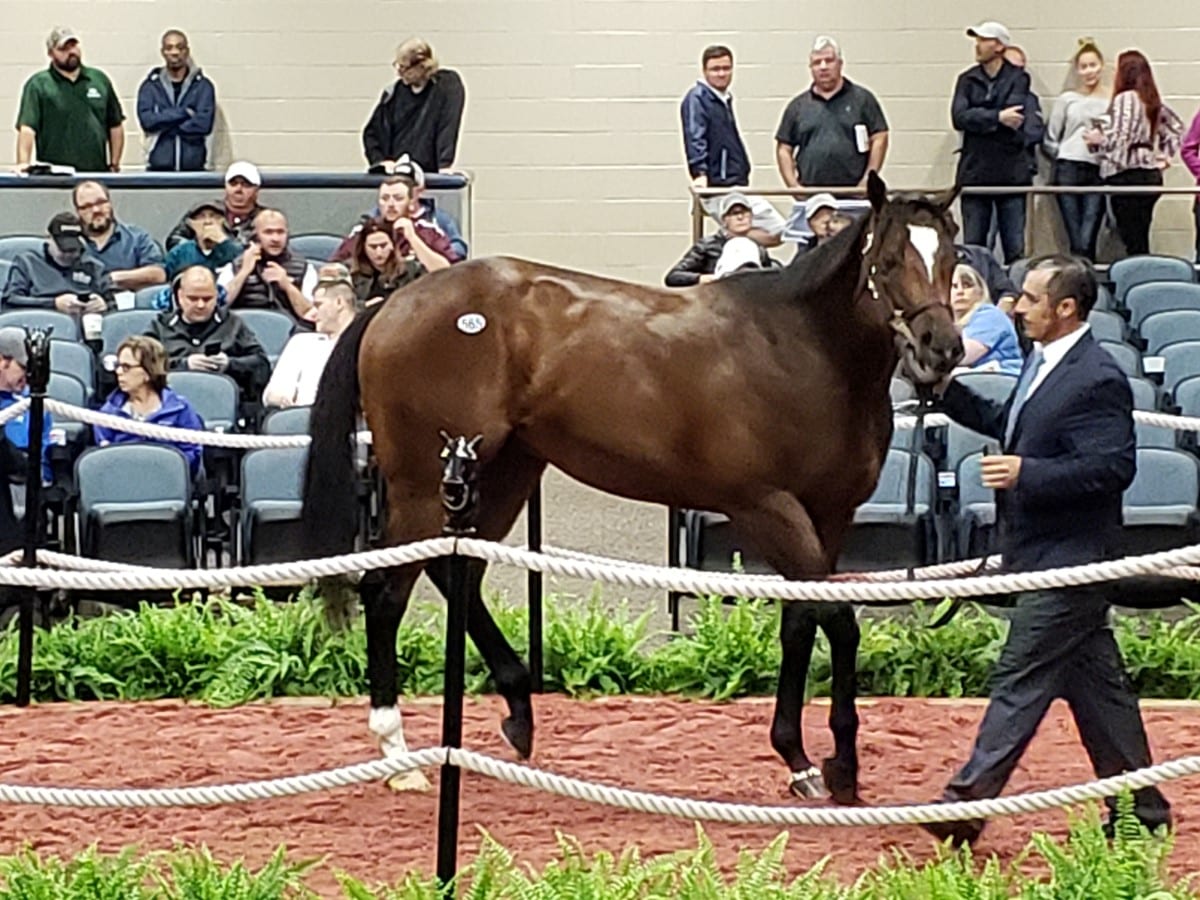 fasig tipton 2yo sale 2018 Fasig-Tipton