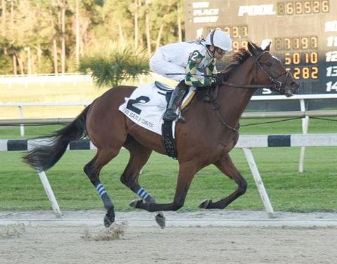 Sole Volante leads Belmont Stakes challengers