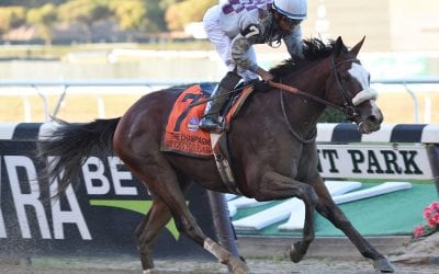 Our experts’ Kentucky Derby picks