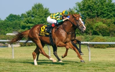 Wootton Asset seeks first US win in G3 Kent