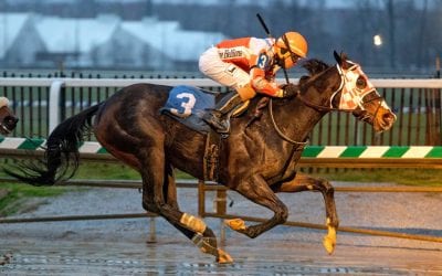 Big swing for Long Point Beach in Del Oaks