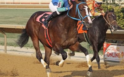 Natural Attraction first winner for Golden Years