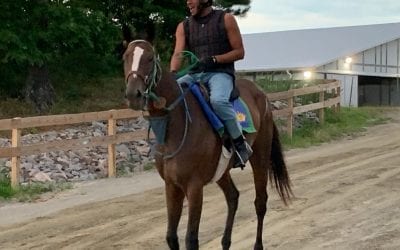 Colonial Downs opens for training