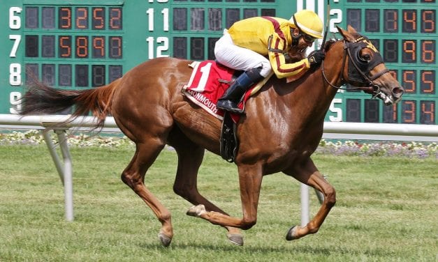 Wink takes Grassy Colleen Stakes