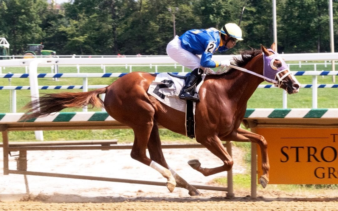 Kenny Cox barn enjoying strong Laurel meet