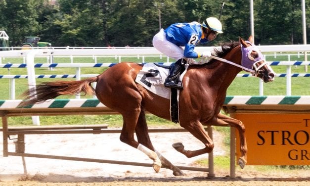 Kenny Cox barn enjoying strong Laurel meet