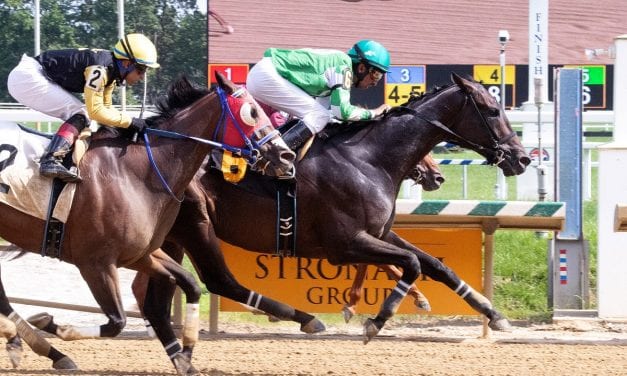 Arch Cat upsets Laurel Park feature