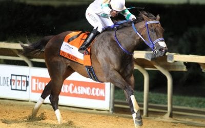 Charles Town meet ends with wagering gains