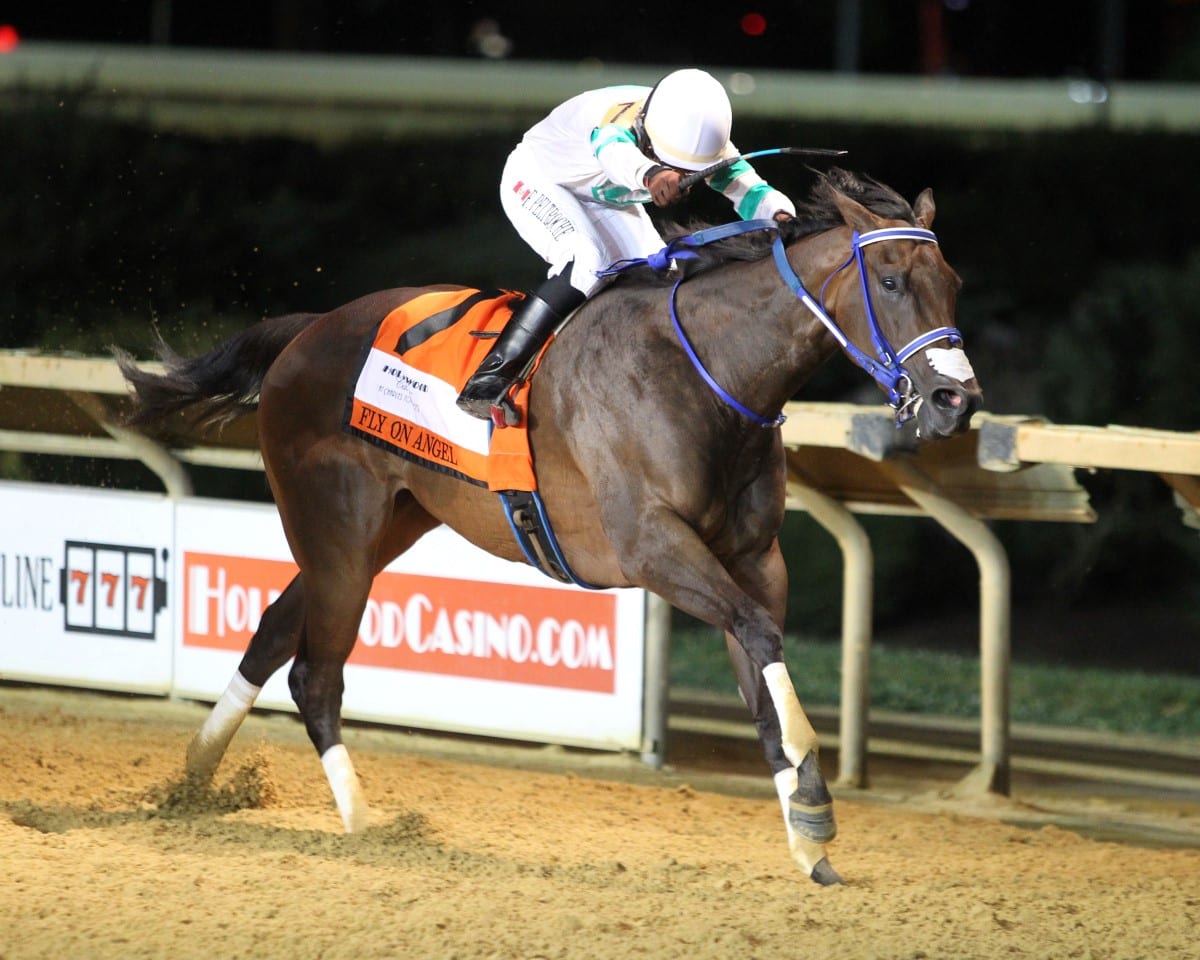 FLY ON ANGEL – The Charles Town Oaks G3 – 11th Running – 08-28-20 – R10 – CT – Finish 02 Fly On Angel