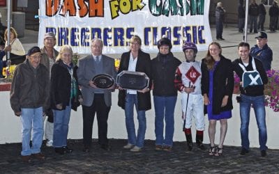 Gofundme set up for Leslie Condon’s horses