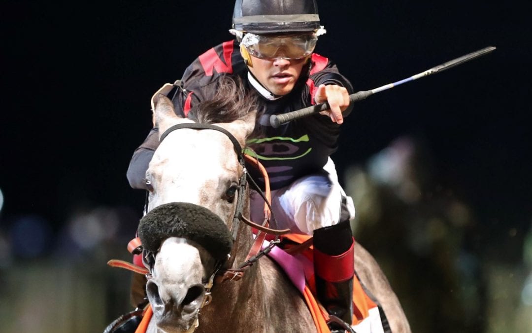 Charles Town picks and horses to watch: November 18