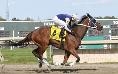 Quality, full fields headline Delaware Owners Day