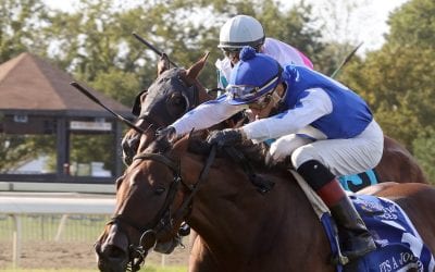 Parx sweep yields “significant” contraband