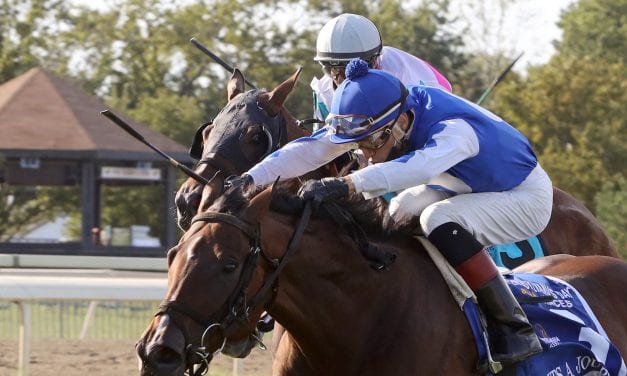 Parx sweep yields “significant” contraband