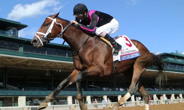 Preakness Profile: Art Collector