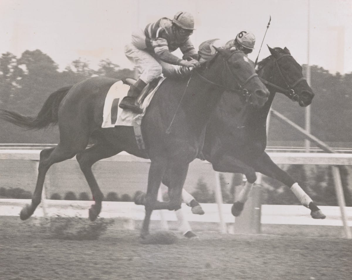 Keeneland Library Thoroughbred Times Collection – Shuvee July 7, 1969 Cotillion Stakes at Liberty Bell close up Shuvee