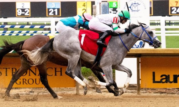 Kwist is first Maryland winner for sire Nyquist