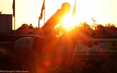Pimlico: Safe haven, keeper of memories, home