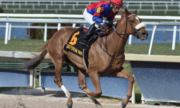 Preakness: Swiss Skydiver “nothing but a dream”