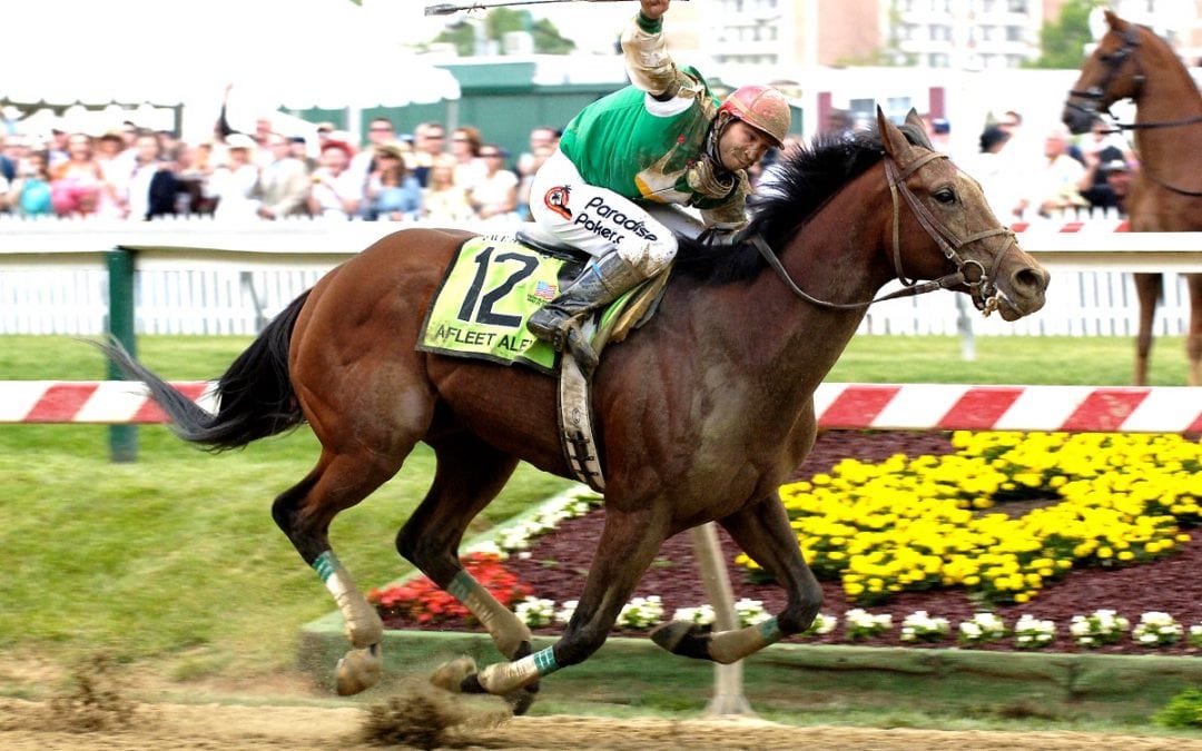 Preakness: 20 years on, Afleet Alex and Scrappy T forever connected