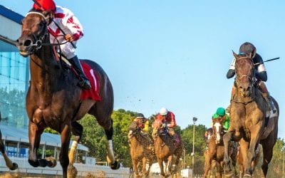 A step forward at Laurel Park