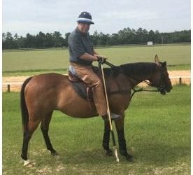 Maryland trainer Jack Kousin passes