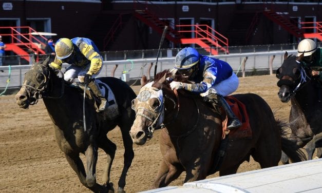 Preakness Profile: Liveyourbeastlife