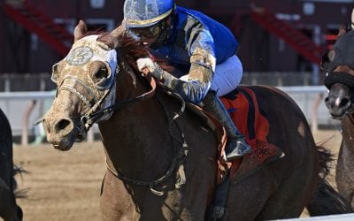 Midlantic-breds in Saratoga Stakes August 3