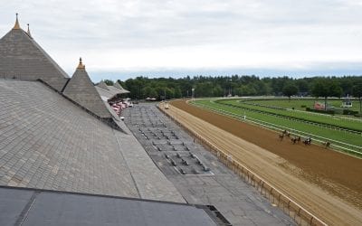 November owner conference to be virtual