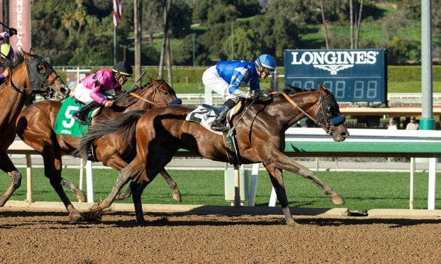 Preakness Profile: Thousand Words