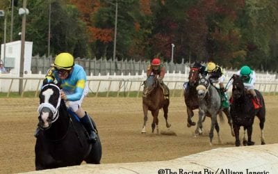 MJC stakes coordinator Coley Blind to retire