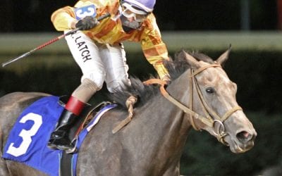 Bridging the Gap dominates in WVBC Cavada