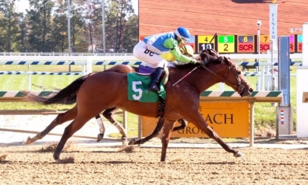Be Sneaky breaks maiden at Laurel Park
